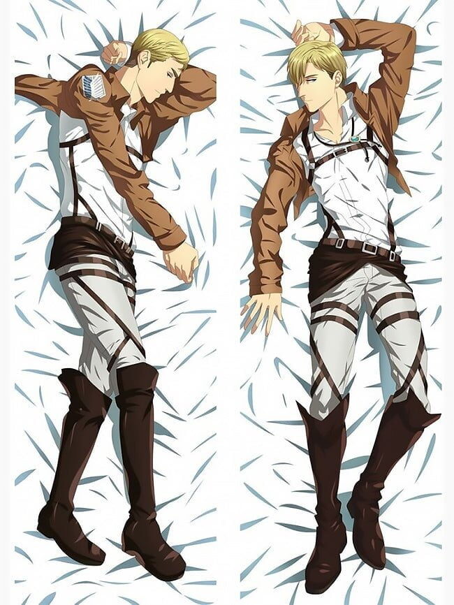 dakimakura erwin
