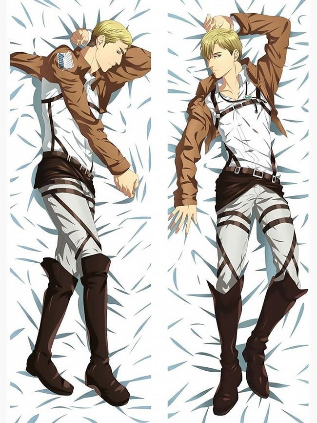 dakimakura erwin smith