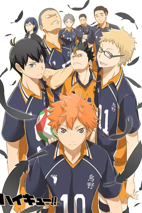 dakimakura haikyuu